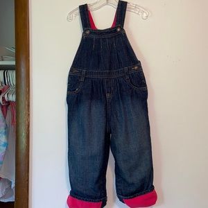 Insulated Toddler girl cover-alls
